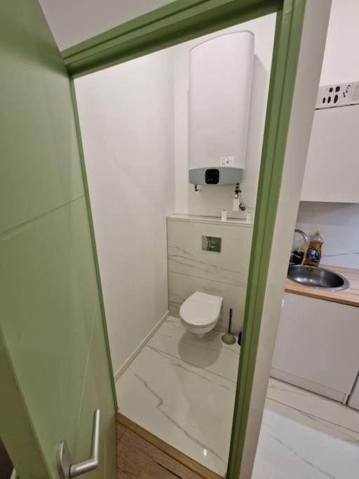 Magnifique Appartement De Type 2 Saint-Etienne  Eksteriør bilde