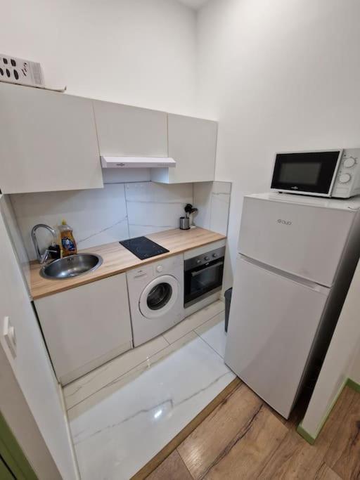 Magnifique Appartement De Type 2 Saint-Etienne  Eksteriør bilde
